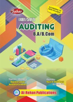 481-5417 Auditing